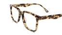 F&L Eyewant Greyvanna