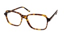F&L Eyewitness Turtle Shade