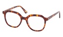 F&L Eyecan turtle shade