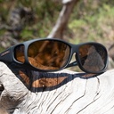 Cocoons black amber (MS)