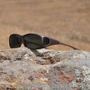 Cocoons sand grau (MS)