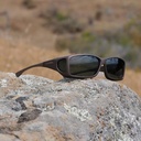 Cocoons sand grau (ML)