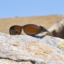 Cocoons sand amber (MS) 