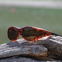 Cocoons tortoise amber (S)