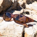 Cocoons tortoise amber (MS)