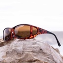 Cocoons tortoise amber (ML)