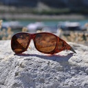 Cocoons tortoise amber (L)