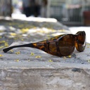 Cocoons leopard amber (M)