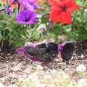 Cocoons amethyst grau (MX) 