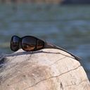 Cocoons photochromic amber (S)