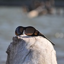 Cocoons photochromic amber (M)  
