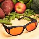 Cocoons orange (MS) 