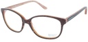 GGL Curioseety brown snake