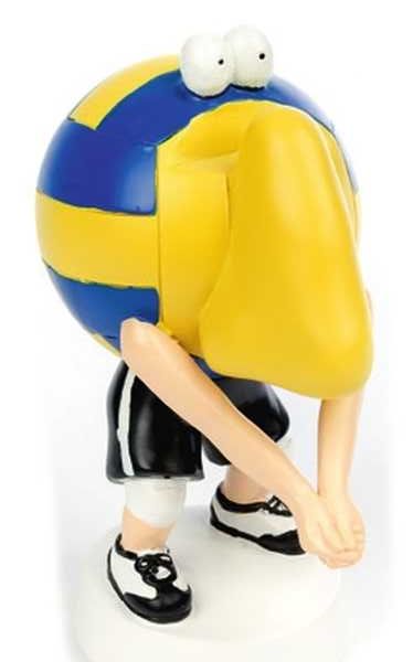 Optipet Volleyball