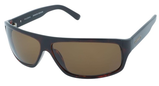 [pil760500] Pilgrim sun 760500
