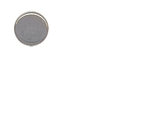 [482] Antiallergie Pads Titan rund zum Schrauben