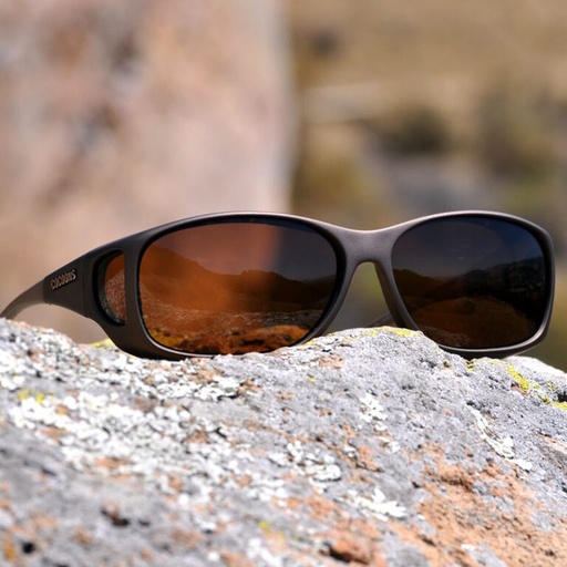 [C705A] Cocoons sand amber (MX) 
