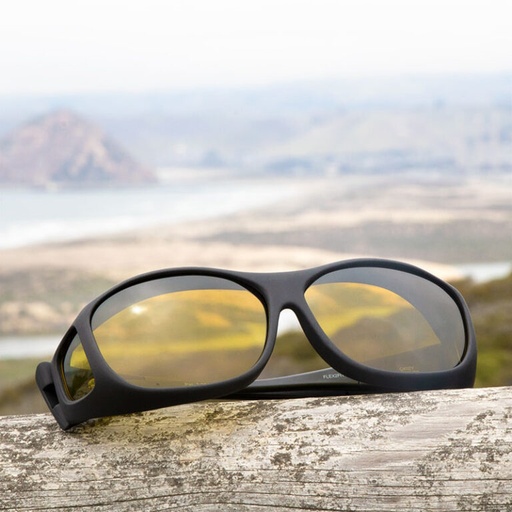 [C402Y] Cocoons black yellow (M)